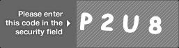 captcha code for visual authentication  letter P number 2 letter U number 8
