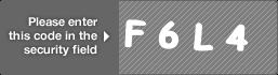 captcha code for visual authentication  letter F number 6 letter L number 4