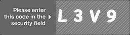 captcha code for visual authentication  letter L number 3 letter V number 9